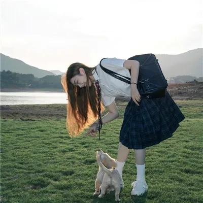 笨金鱼